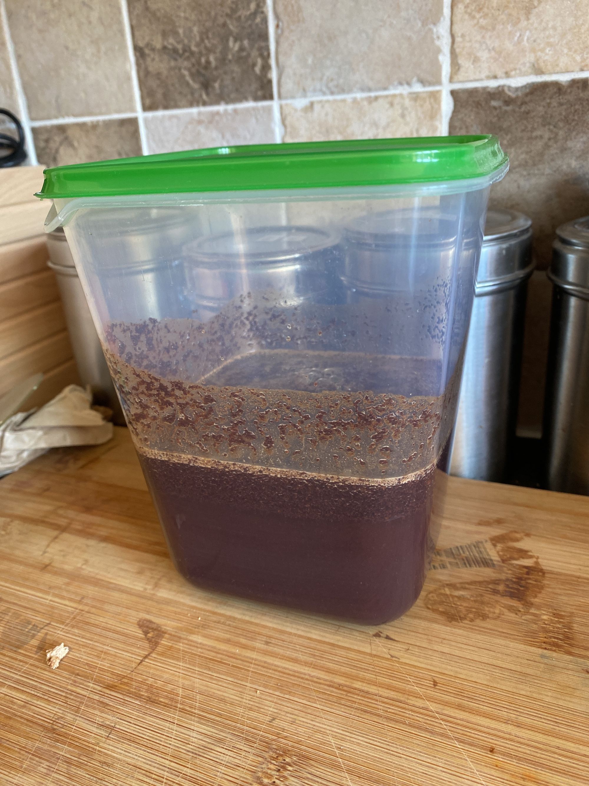 Coffee brewing in a large plastic tub with a green lid
